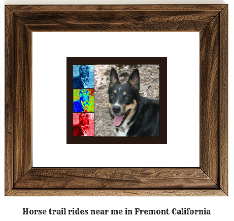 horse trail rides near me in Fremont, California